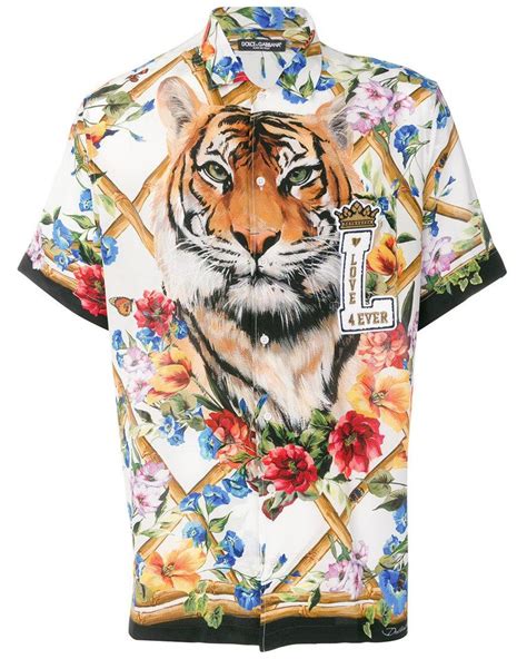 dolce gabbana tiger shirt|dolce & gabbana shirt men's.